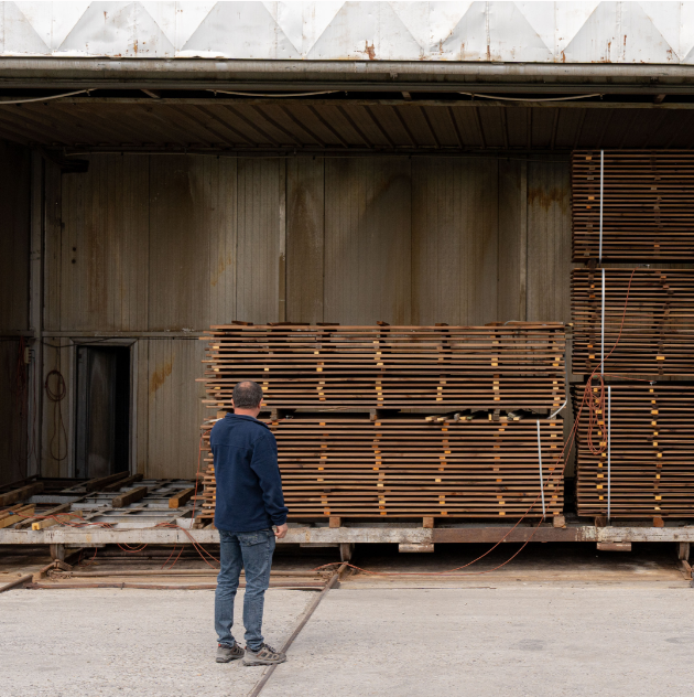 Secretele tratării lemnului: Expertiza CASArbor dezvăluită!